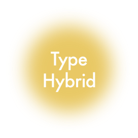 TypeHybrid